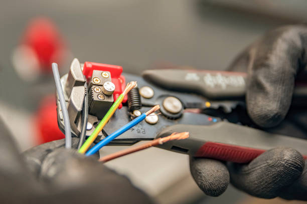 Best Electrical Contractors for Businesses  in Fish Hawk, FL