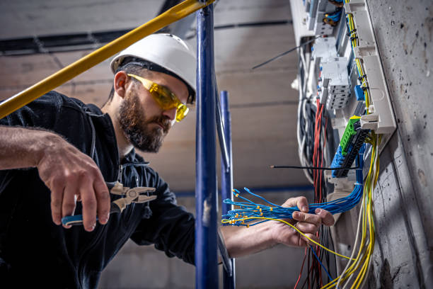 Best Electrical System Inspection  in Fish Hawk, FL