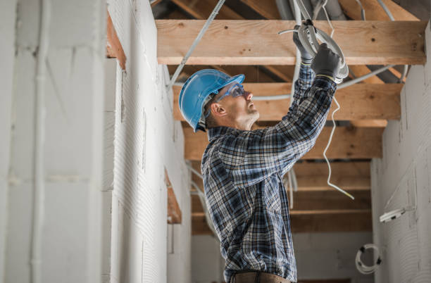 Best Home Electrical Repair  in Fish Hawk, FL