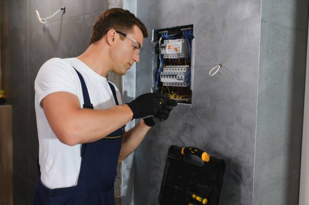 Best Ceiling Fan Installation Electrician  in Fish Hawk, FL