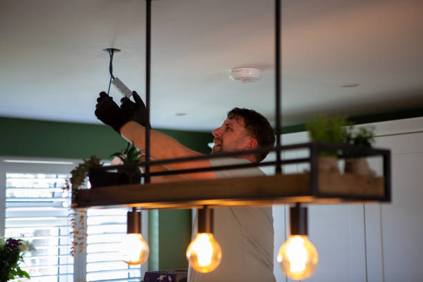 Best Electrician Near Me  in Fish Hawk, FL
