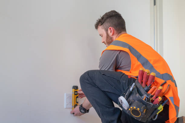 Best Affordable Emergency Electrician  in Fish Hawk, FL