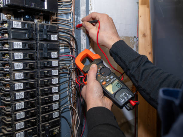 Best Electrical Upgrades for Homes  in Fish Hawk, FL