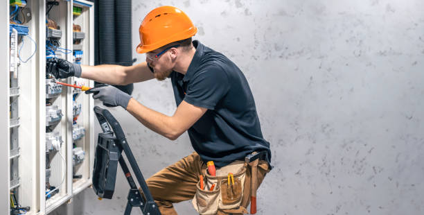 Best Electric Panel Repair  in Fish Hawk, FL